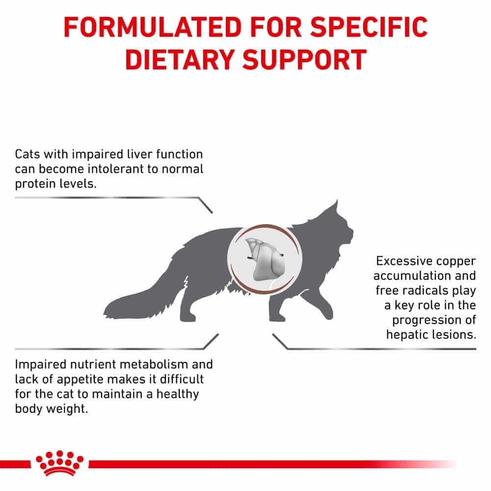 | غذای خشک گربه رویال کنین مدل Hepatic درمان مشکلات کبدی