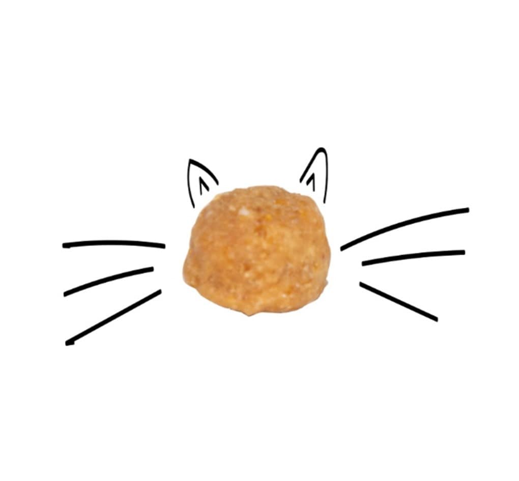 غذای گربه سلبن