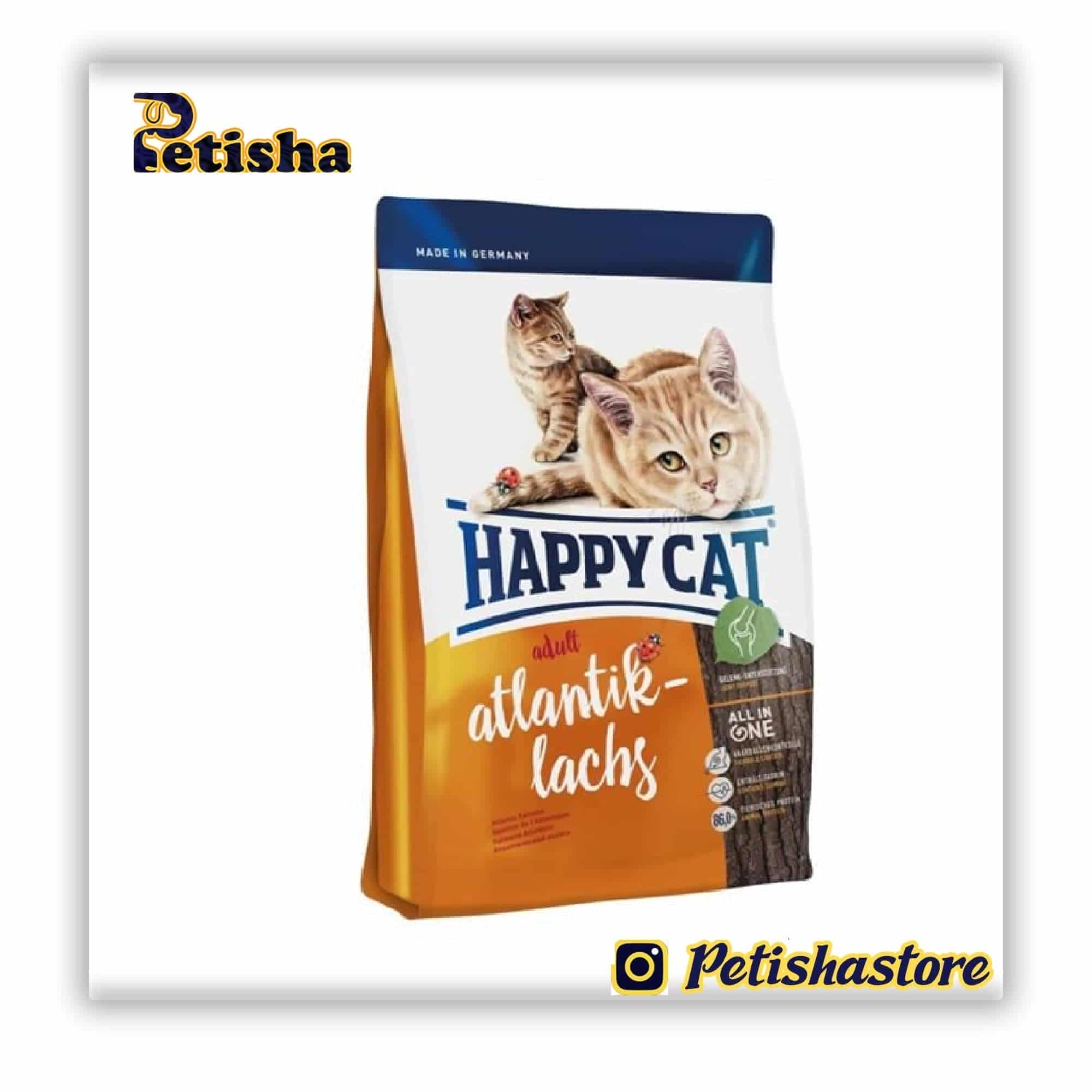 غذای خشک گربه بالغ ایندور 4 کیلو