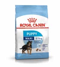 غذای خشک سگ | غذای خشک توله سگ رویال کنین مدل Maxi Puppy نژاد بزرگ | 10 کیلوگرم