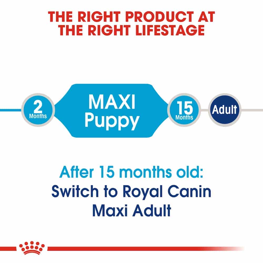 | غذای خشک توله سگ رویال کنین مدل Maxi Puppy نژاد بزرگ