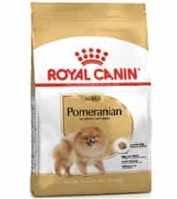 غذای خشک سگ رویال کنین مناسب سگ های نژاد پامرانین Pomeranian وزن 1.5 کیلوگرم