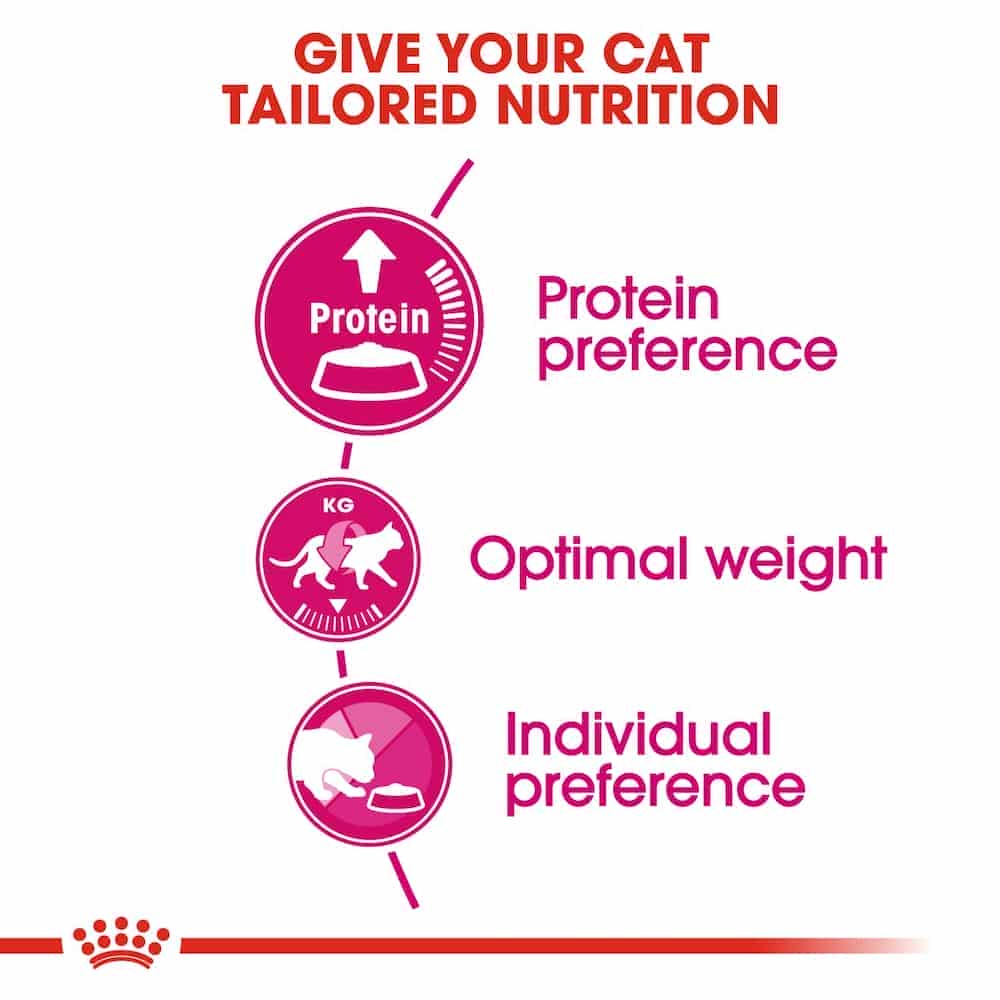 | غذای خشک گربه رویال کنین مدل Protein Exigent مناسب گربه بدغذا