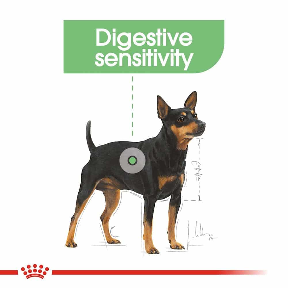 | غذا خشک سگ رویال کنین مدل Mini Digestive Care مناسب نژاد کوچک دارای مشکلات گوارشی