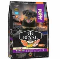 غذای خشک سگ رویال فید مناسب توله سگ نژاد کوچک Puppy وزن 10 کیلوگرم