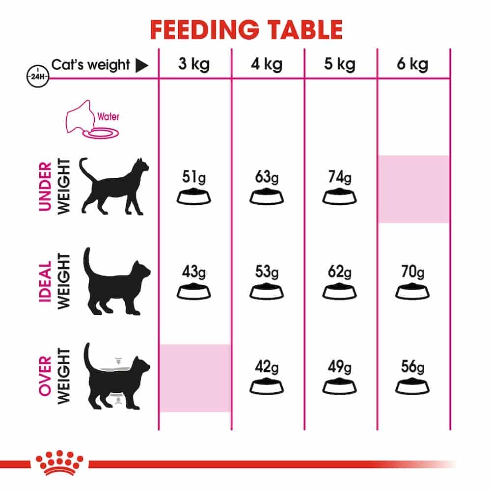| غذای خشک گربه رویال کنین مدل Savour exigent مناسب گربه بدغذا | 2 کیلوگرم
