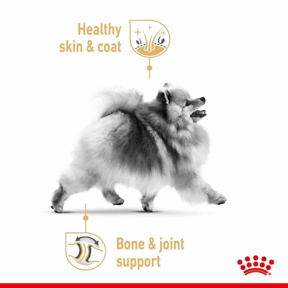| پوچ سگ رویال کنین مدل Pomeranian مناسب نژاد پامرانین