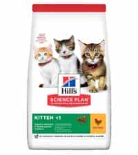 غذای خشک بچه گربه هیلز مدل Kitten طعم مرغ وزن 1.5 کیلوگرم