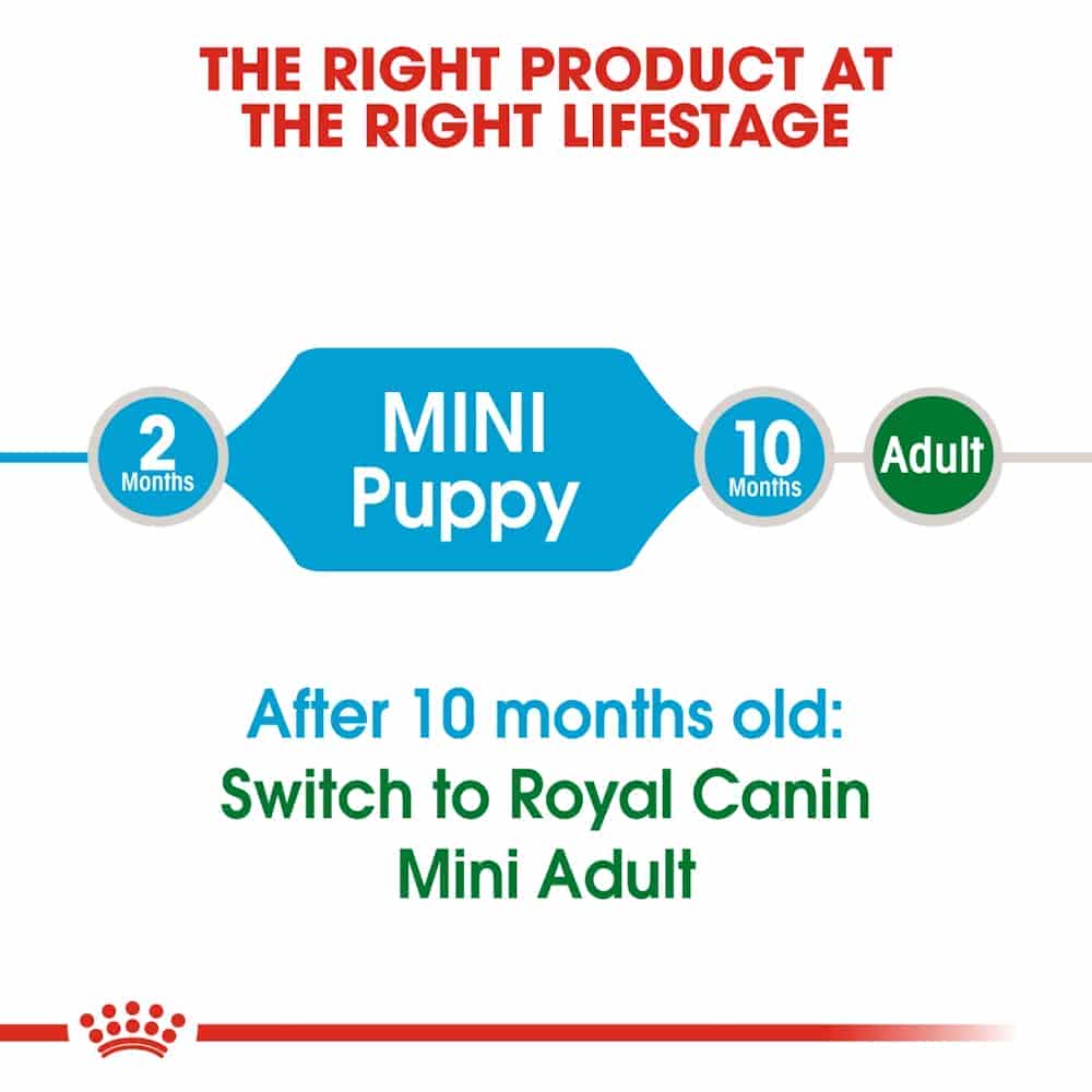 | غذای خشک توله سگ رویال کنین مدل Mini Puppy نژاد کوچک | 2 کیلوگرم