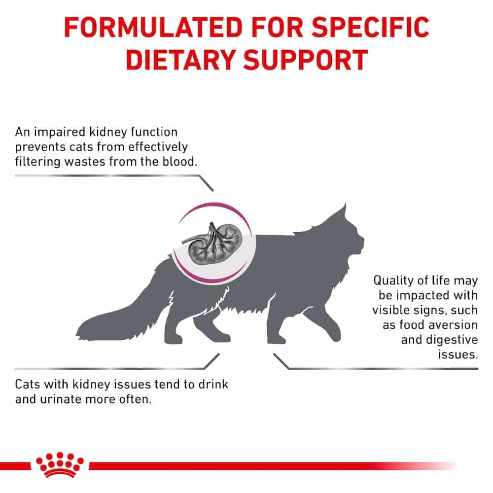 | غذای خشک گربه رویال کنین مدل Renal درمان نارسایی مزمن کلیه