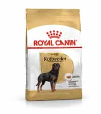 غذای خشک سگ بالغ رویال کنین مناسب نژاد روتوایلر