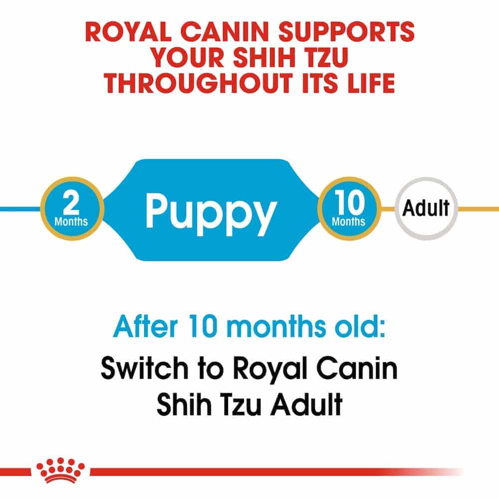 | غذای خشک توله سگ رویال کنین مدل Shih Tzu Puppy مناسب نژاد شیتزو