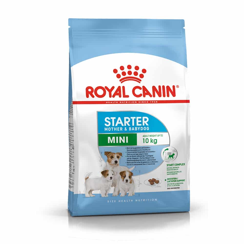 | غذای خشک سگ رویال کنین مدل Mini Starter مناسب مادر و بچه نژاد کوچک