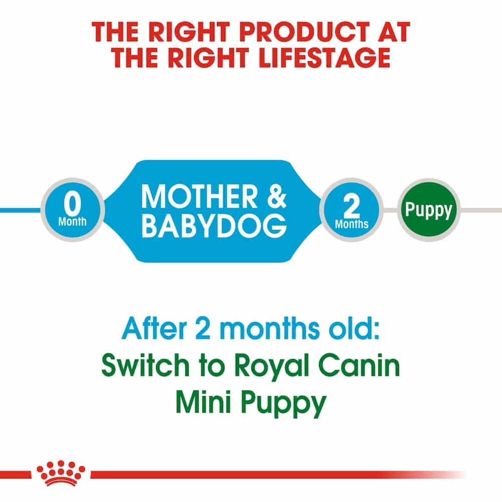 | غذای خشک سگ رویال کنین مدل Mini Starter مناسب مادر و بچه نژاد کوچک