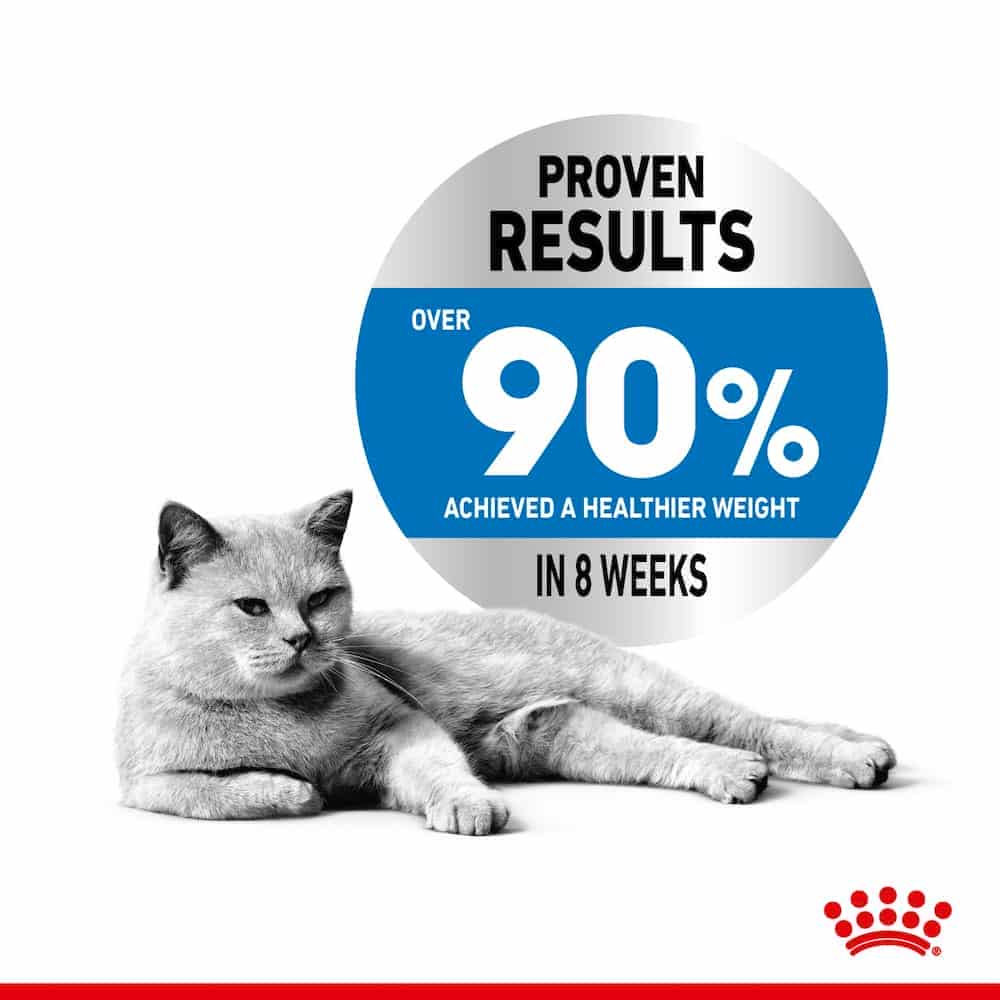 | پوچ گربه رویال کنین مدل Light Weight Care مناسب کنترل وزن