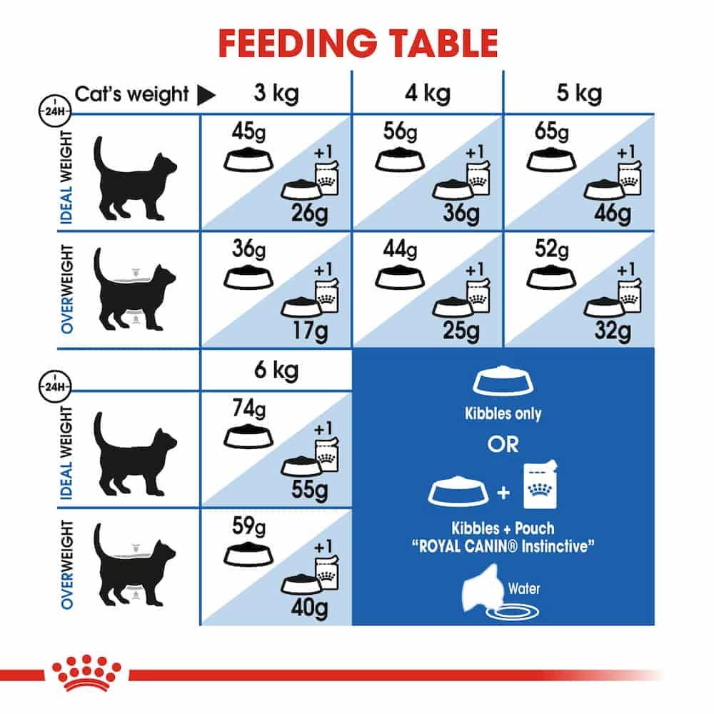 | غذای خشک گربه بالغ رویال کنین مدل Indoor مناسب گربه داخل خانه | 10 کیلوگرم