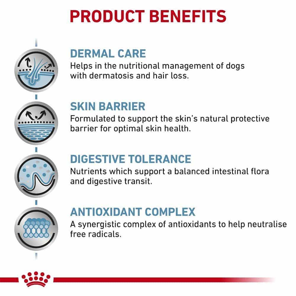 | غذای خشک سگ رویال کنین مدل Skin Care درمان مشکلات پوستی