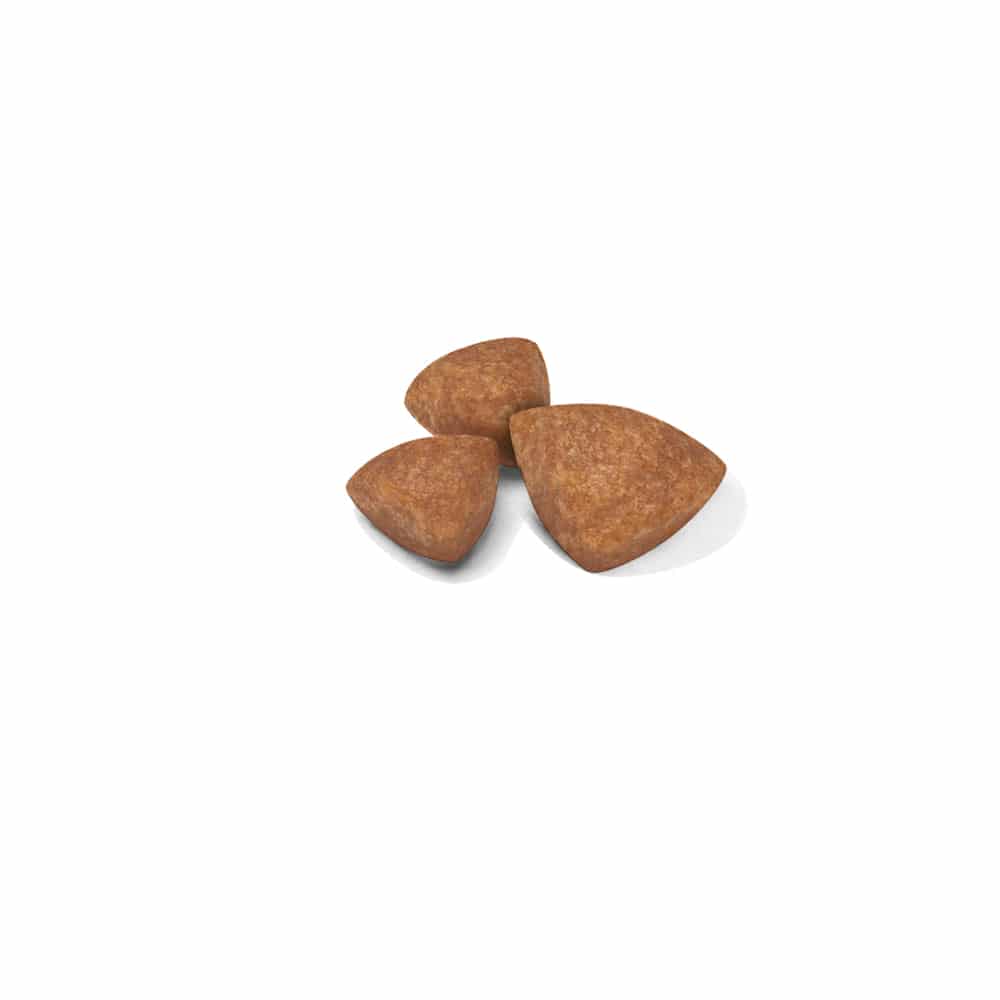 | غذای خشک توله سگ رویال کنین مدل X-Small Puppy نژاد خیلی کوچک