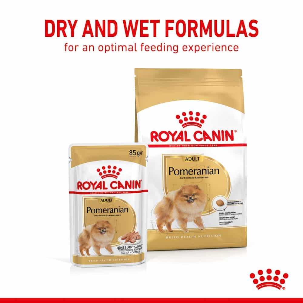 | غذای خشک سگ رویال کنین مدل Pomeranian مناسب سگ پامرانین بالغ