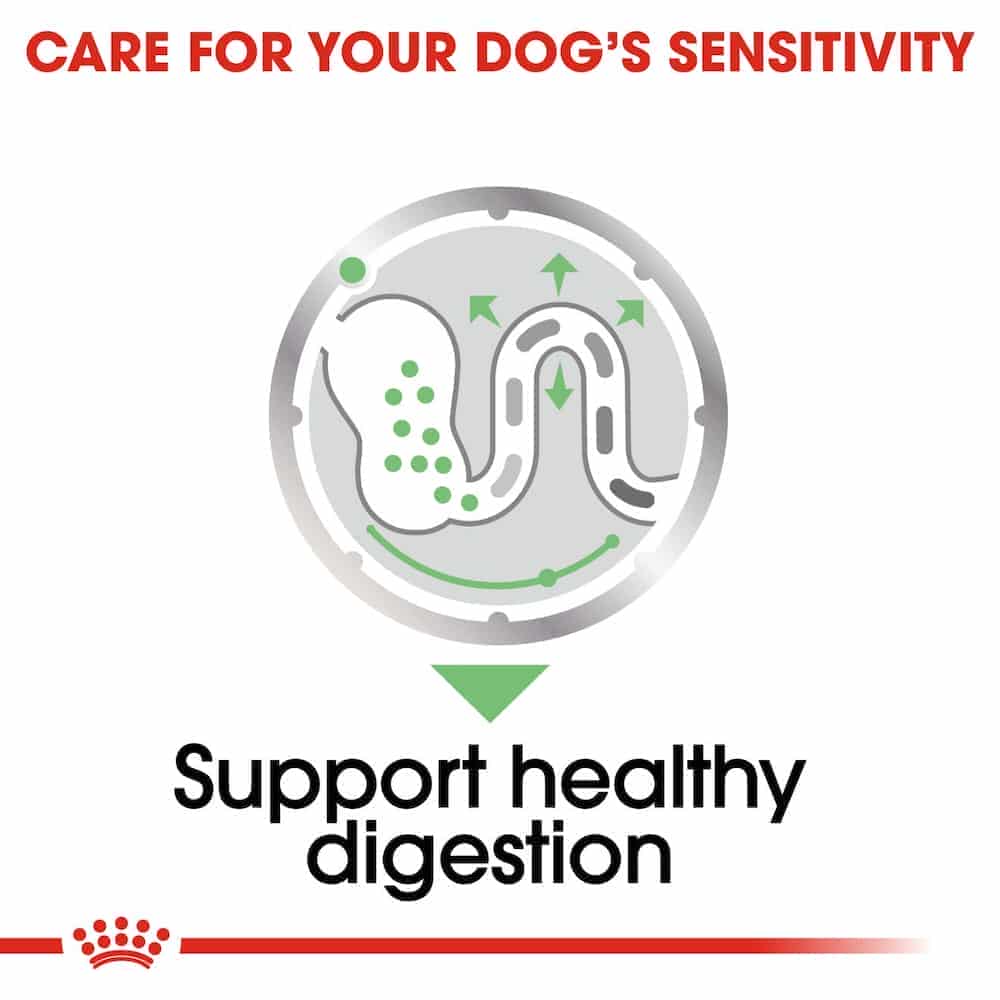 | پوچ سگ رویال کنین مدل Digestive Care مناسب گوارش حساس