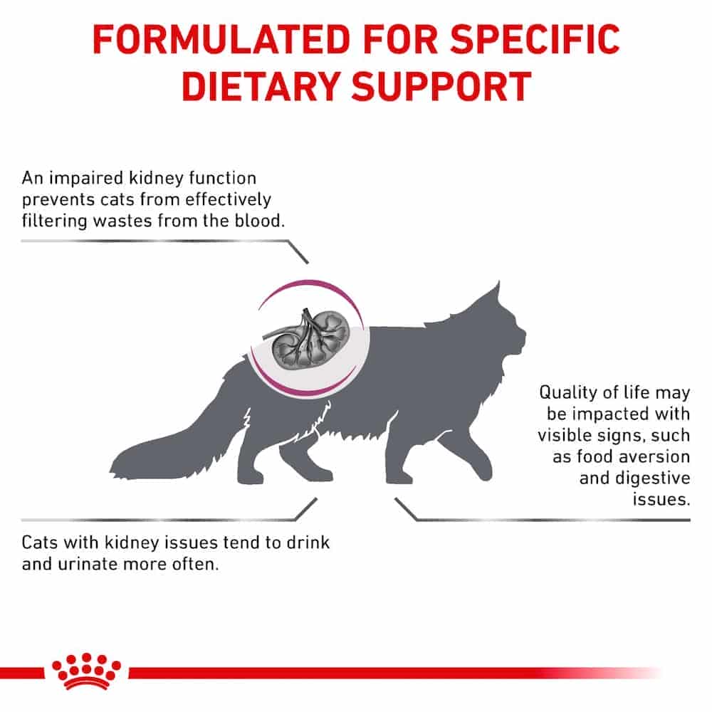 | غذای خشک گربه بالغ رویال کنین مدل Renal Special درمان مشکلات کلیوی