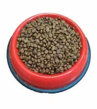 | غذای خشک حمایتی گربه بالغ مفید فله 1 کیلویی