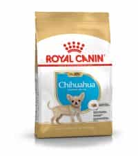 بزرگ | غذای خشک توله سگ رویال کنین مدل Chihuahua Puppy نژاد شیواوا