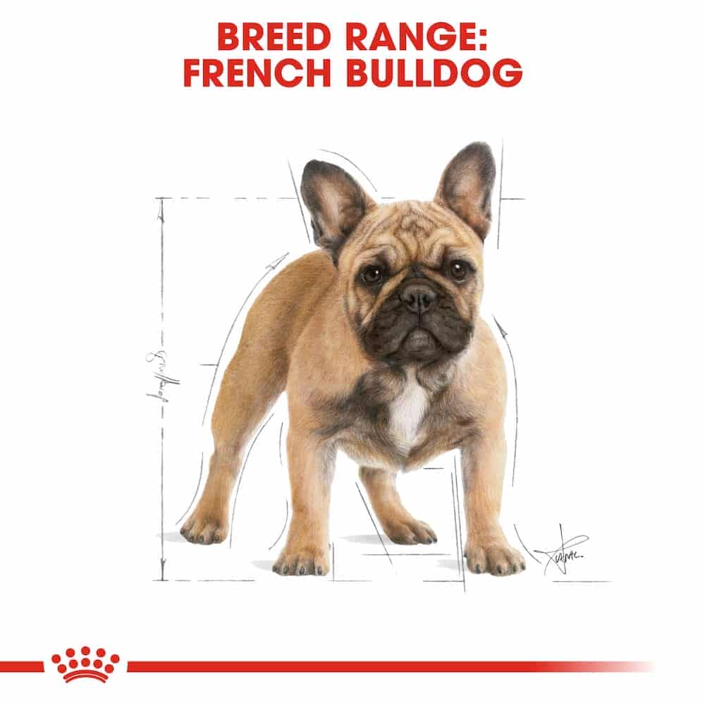 | غذای خشک سگ بالغ رویال کنین مدل French Bulldog نژاد فرنچ بولداگ