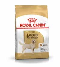 | غذای خشک سگ بالغ رویال کنین مدل Labrador Retriever Adult نژاد لابرادور رتریور | 12 کیلوگرم