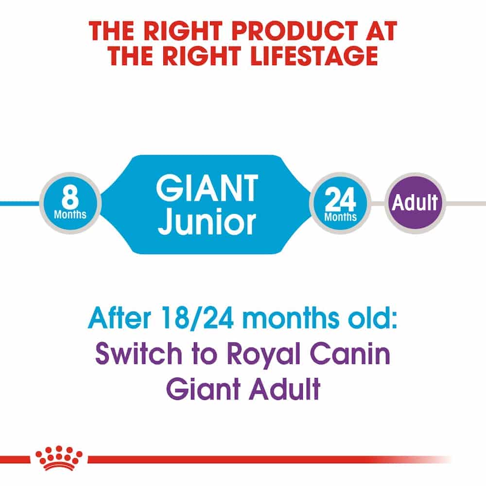 | غذای خشک توله سگ رویال کنین مدل Giant Junior نژاد خیلی بزرگ