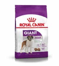 | غذای خشک سگ بالغ رویال کنین مدل Giant Adult نژاد خیلی بزرگ | 15 کیلوگرم