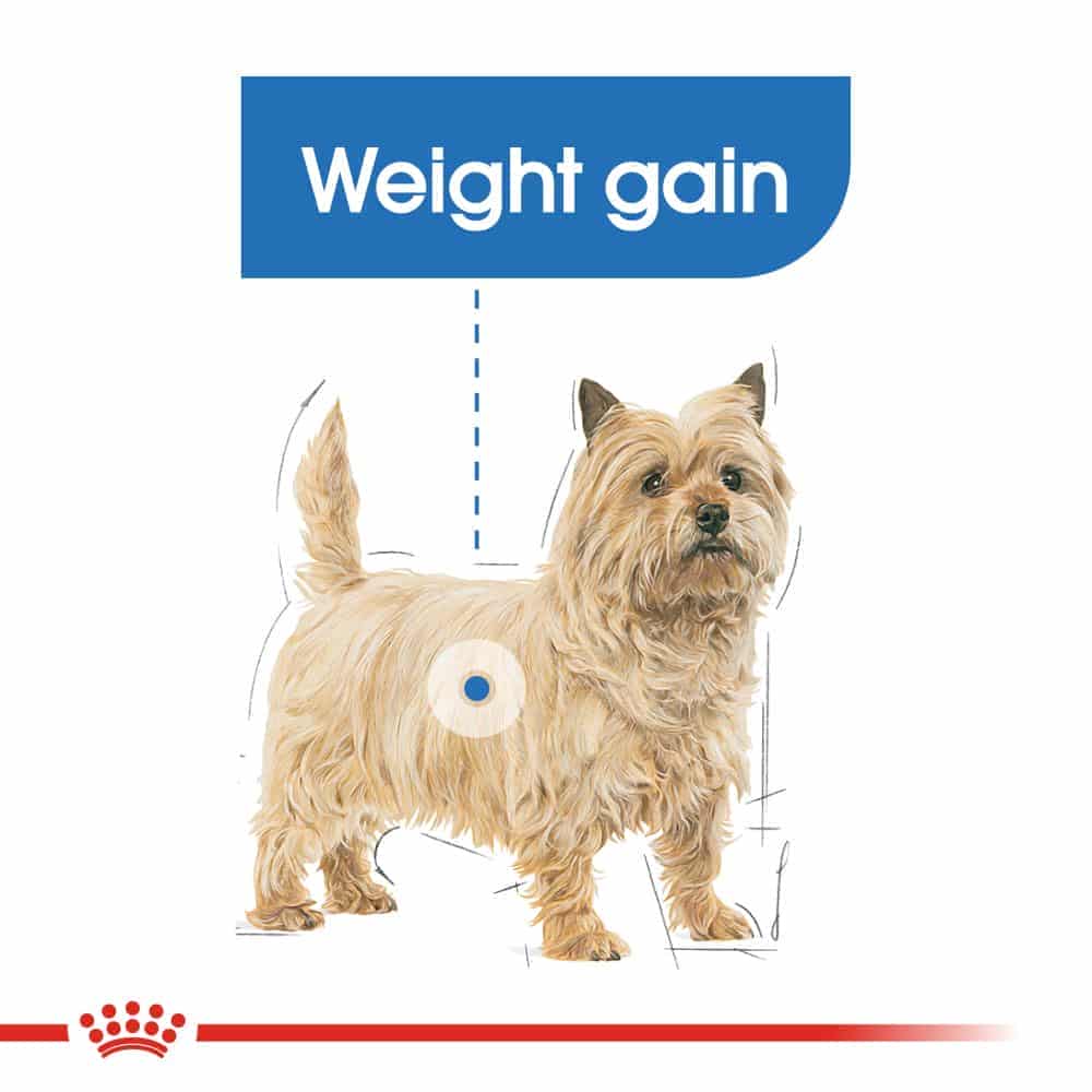 | غذای خشک سگ رویال کنین مدل Mini Light Weight Care نژاد کوچک