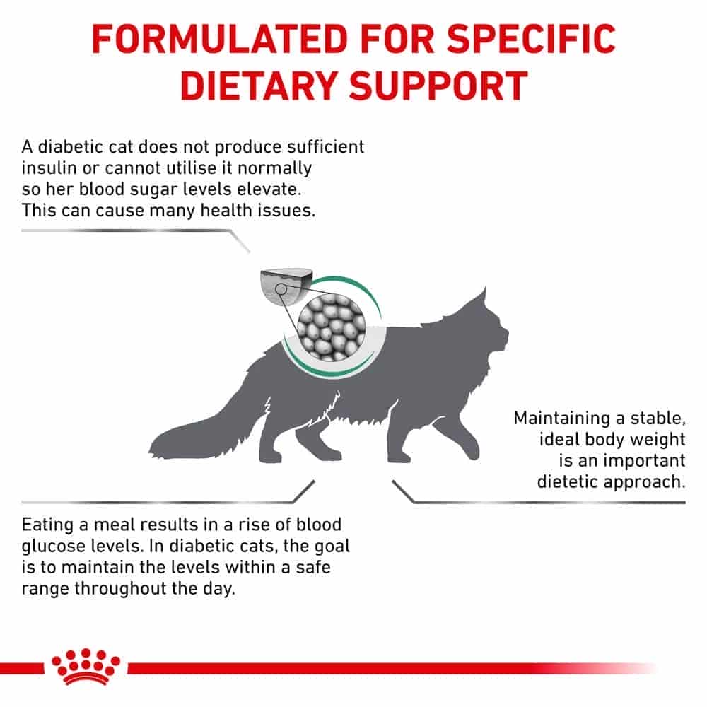 | غذای خشک گربه بالغ رویال کنین مدل Diabetic درمان مشکلات دیابتی