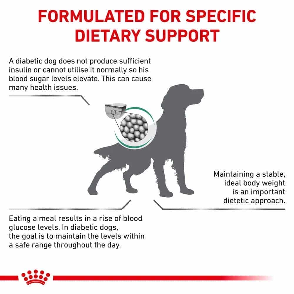 | غذای خشک سگ رویال کنین مدل Diabetic درمان مشکلات دیابتی