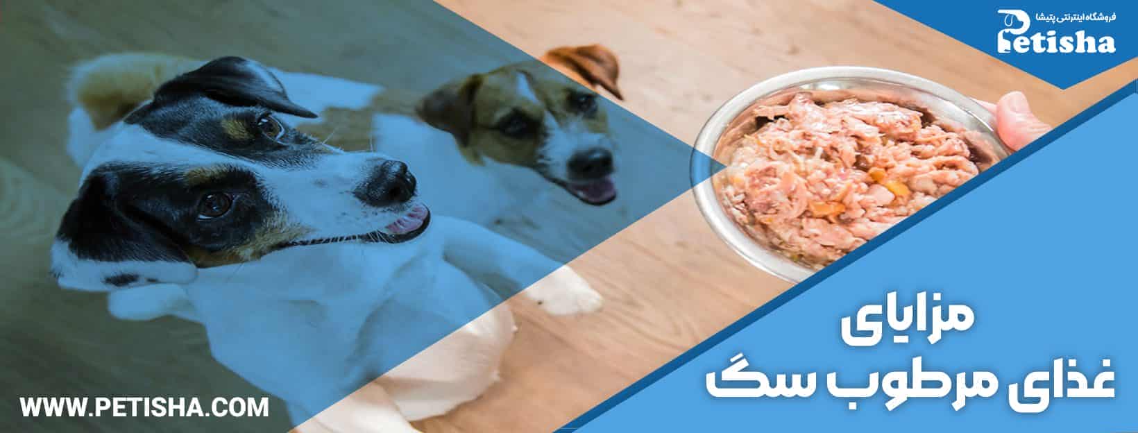 غذای مرطوب سگ | غذای مرطوب سگ