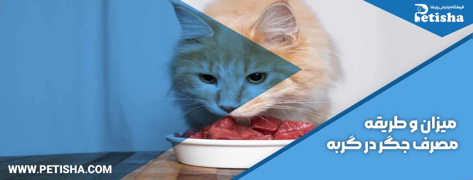 خوردن دل و جگر برای گربه | هر آنچه که باید در مورد خوردن دل و جگر برای گربه بدانید