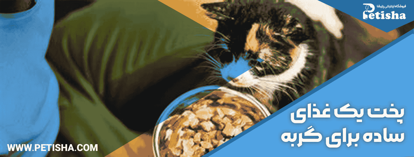 درست کردن غذای خانگی برای گربه | نحوه درست کردن غذای خانگی برای گربه