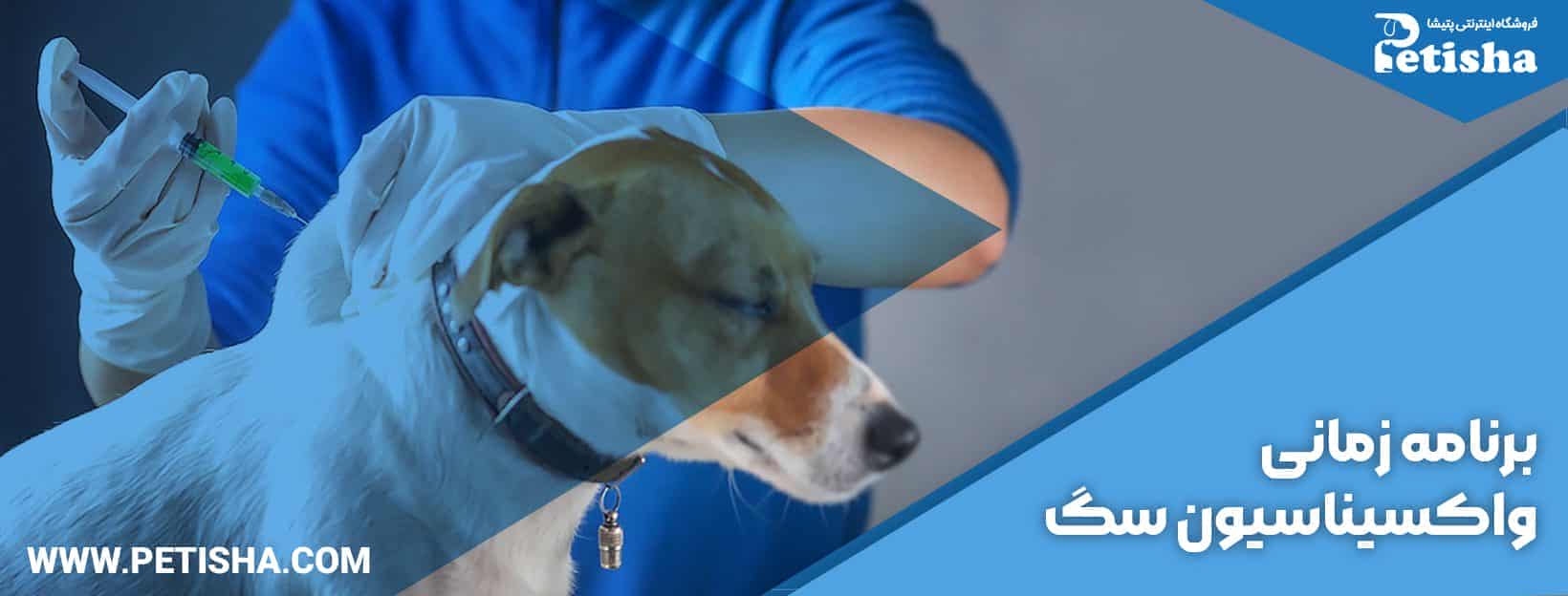 واکسیناسیون سگ | واکسیناسیون سگ های خانگی، برنامه صحیح واکسن سگ