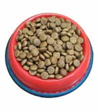 گربه | غذای خشک سگ بالغ رفلکس پلاس با طعم مرغ وزن فله 1 کیلوگرم