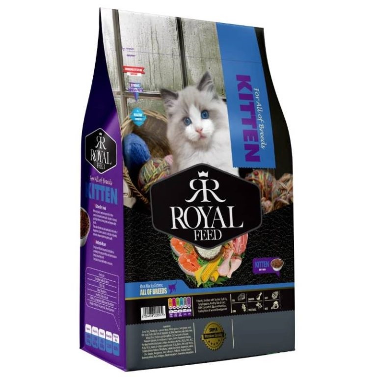 خوراکی های غیر مجاز برای سگ | غذا خشک بچه گربه رویال فید مدل Kitten (فله) وزن 1 کیلوگرم