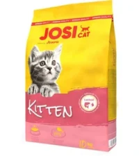 غذای بچه گربه جوسرا